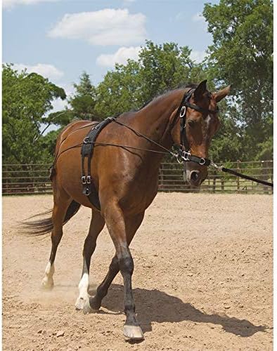 Dover Saddlery Balance Complete Training System, Color: Brown, Size: F/S
