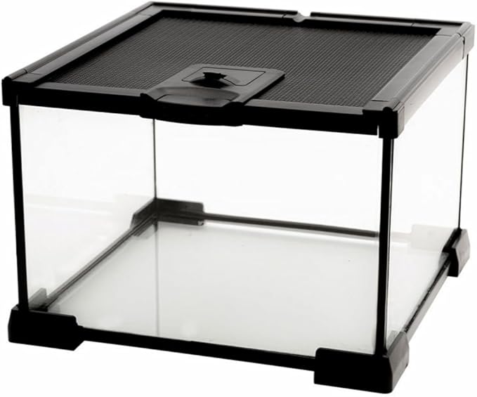 Mini Reptile Glass Terrarium Tank, cage for Tarantula Sling Geckos, Frog, Lizards, Chameleons,Turtles Snake Snail Insect Hermit Crab Isopods Reptiles Enclosure (7.9x7.9x5.7inch)