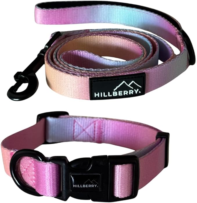 HILLBERRY Dog Collar and Leash Set Adjustable Rainbow Pink Purple Blue Puppy Pet Essentials and Supplies - Size XS
