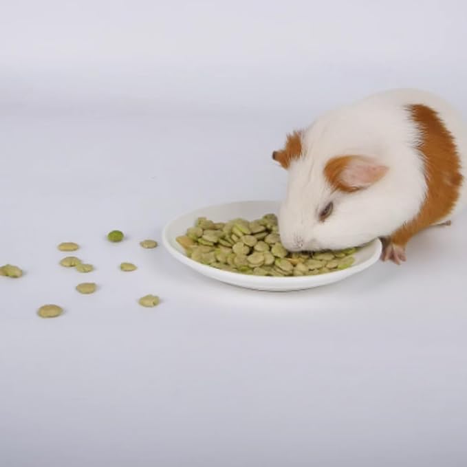 Pea Flakes for Guinea Pigs - Pet Treats, Suitable for Chinchillas, Rabbits, and Small herbivorous Animals(1.5 lb (Pack of 1))