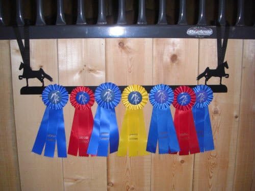 Showoff Black 14ga Steel Award Rack - Horse, Wall Mount or Stall Mount, USA Made