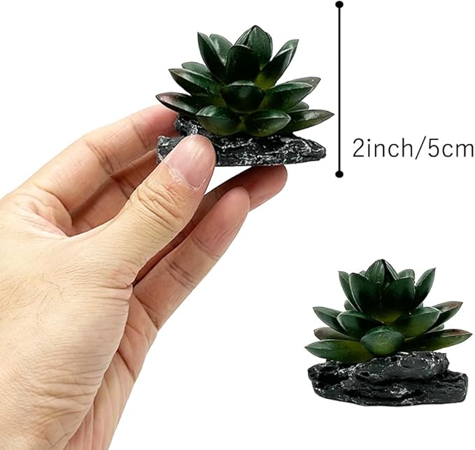 Smoothedo-Pets Reptile Artificial Plants Succulent Terrarium Decor Desert Rainforest Plant Lizard Beard Chameleon Gecko Snake Amphibious Sea Turtle Tank Accessory (Dark-Green-3pcs-Se)