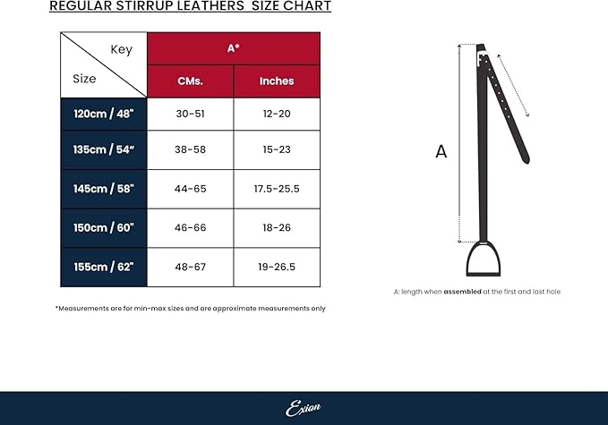 Exion Pre-Stretched Leather Stirrup Leathers for English Saddles | Premium Vegetable-Tanned Non-Stretch Stirrups for Jumping, Dressage & Schooling | 18-Hole Numbered Adjustment & SS Buckles
