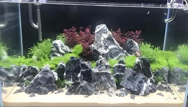 Natural Rocks Seiryu Stones Aquariums Stones for Aquascaping, Aquariums, Terrariums, Vivariums Decorative Stone,Reptile Enclosures,Paludariums,and Gardens-10LB（2 to 7 inch）