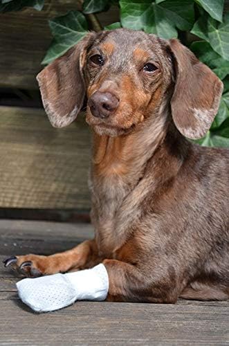 Medimitt Paw Bandages for Dogs, Cats and Pets – Stretchy Medical Booties, First Aid for Paws – Non Slip, Non Adhesive, Breathable, Disposable, Washable, Adjustable Strap,12 Pack (X-Large)