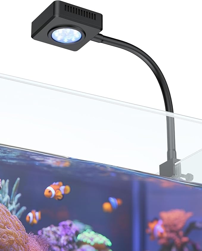 Pawfly 15 W Saltwater Aquarium Light Clip On LED Reef Light for Corals Dimmable LED Aquarium Light with Touch Control Marine Fish Tank Light with Adjustable Brightness Brilliant Blue White Red Lights