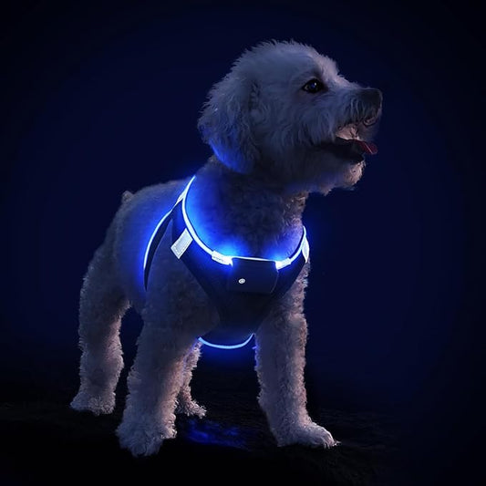 PceoTllar Light Up Dog Harness, LED No Pull Reflective Dog Harness, Flashing Lighted for Night Walking - Small/Medium, (Black Blue,xs)