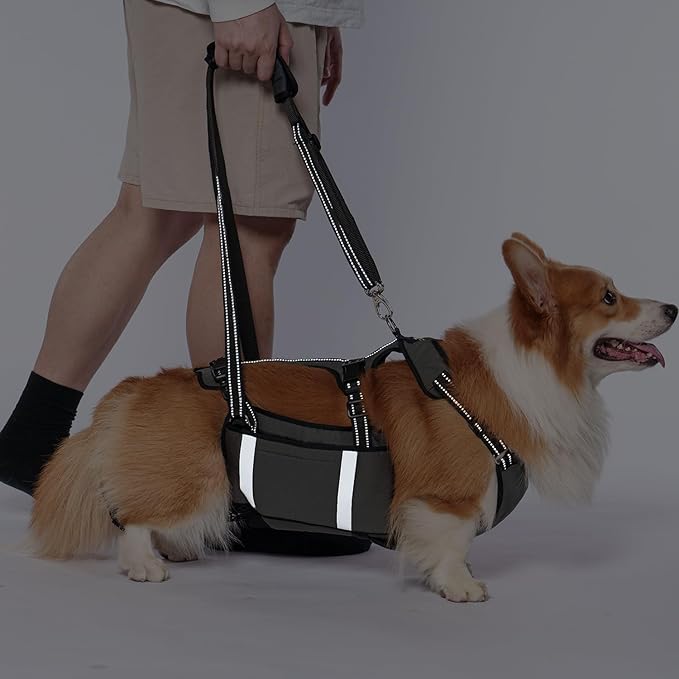 COODEO Mobility Dog Lift Harness, Emergency Carry Sling, Pet Rear Leg Support Rehabilitation Lifts Vest, Dog Carrier for Senior Dogs Joint Injuries, Arthritis (Military Green, XL)