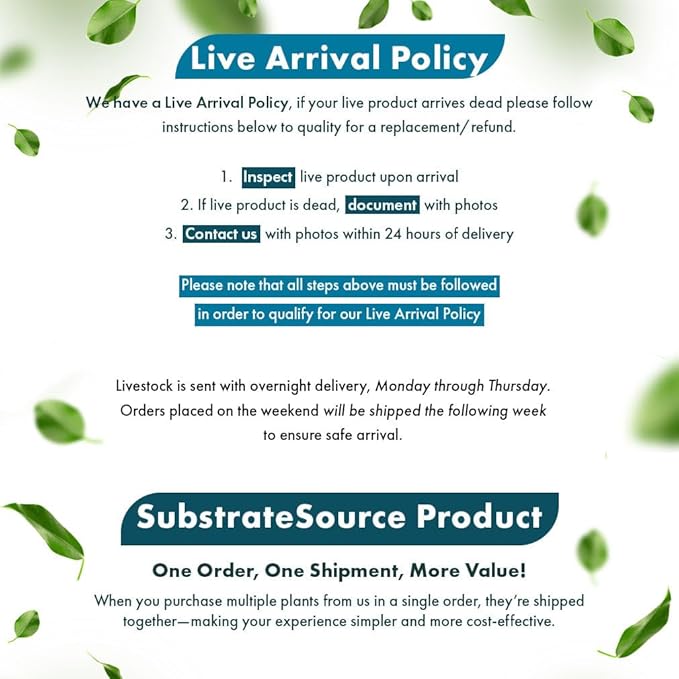 Live Plants - Java Fern ‘Flaming’ (Microsorum pteropus 'Flaming') - Low to Medium Light, Bright Green Accent Aquatic Plant, Midground Placement - Rhizome Growth - Pot, 5 Pack