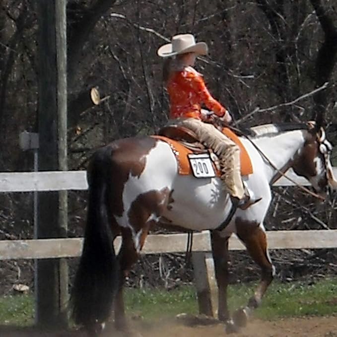 Horse Tail Extensions with Braided Horsehair Loop, Blunt Cut Bottom, 34-36 inches long and 1 lb Weight (Jet Black)