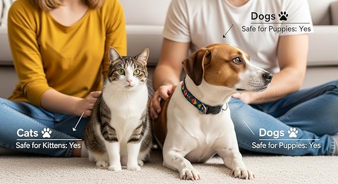 Pure Plaque Off Vet-Approved Dental Powder for Dogs & Cats | 100% Natural Teeth Cleaner with Seaweed | Plaque & Tartar Remover | Freshens Breath | No Brushing Needed (50g)