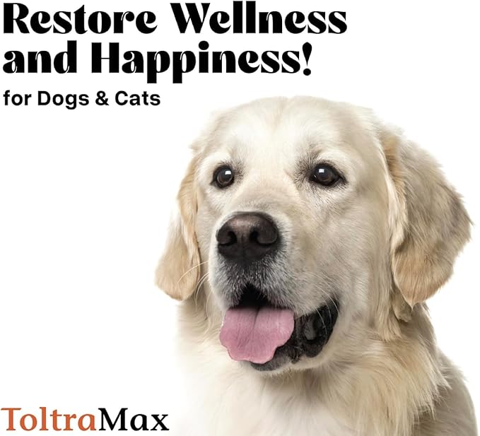 Vetr's Toltramax Toltrazuril Powder for Horses, Dogs, Cats, 100g (2.5%, Beef)