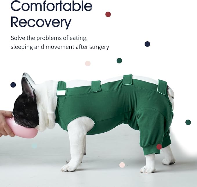 IECOii Dog Onesie for Surgery,Dog Surgery Suit Female Spay Recovery Suit for Medium Size Dog,Dog Recovery Suit Male Pet Abdominal Anti Licking Shirt,Dog Bodysuit Alternative to Cone E-Collar,M-Green