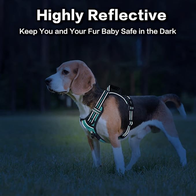 PoyPet No Pull Dog Harness, No Choke Front Clip Reflective Dog Vest with Soft Padded Vertical Handle, 3 Leash Attachments for Small Medium Large Dogs (Mint Blue,M)