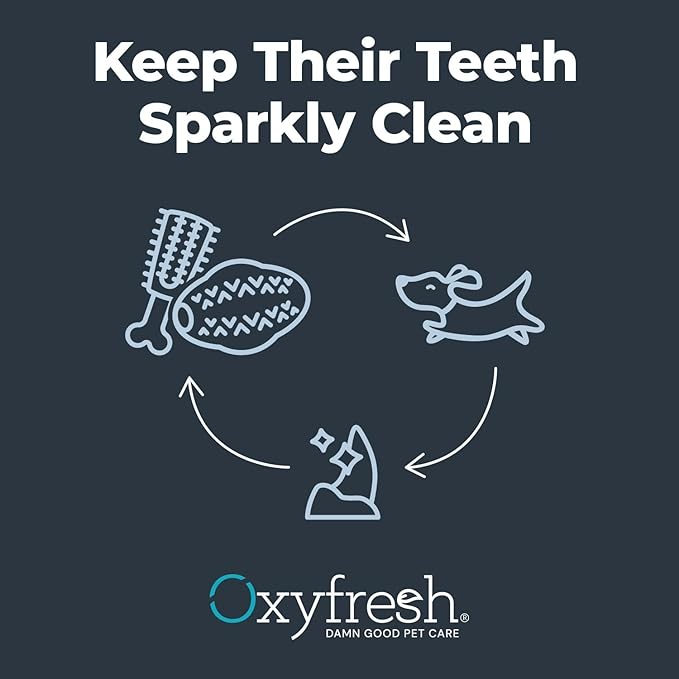 Oxyfresh Dog Dental Chew Toy - Best Durable Rubber Dog Toy & Puppy Teething Toy - Helps Remove Plaque, Cleans Teeth & Freshens Breath Without Brushing (Small)