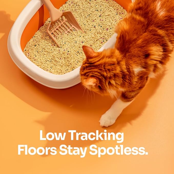 Tofu Cat Litter – Clumping, Flushable, Ultra Absorbent & Fast Drying | 100% Natural, Dust-Free, Low Tracking | Water-Soluble & Eco-Friendly (5.5 lbs x 2 Bag)