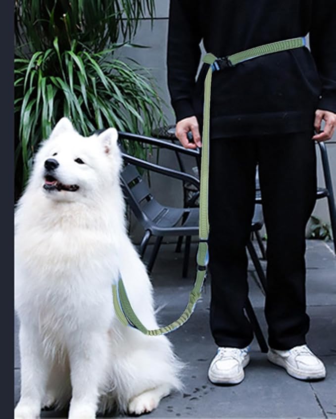 Hands Free Dog Leash for Large Medium Dogs Heavy Duty Bungee Reflective Adjustable Waist Leashes for Walking Running with Car Buckle 4-6FT (Green-1)