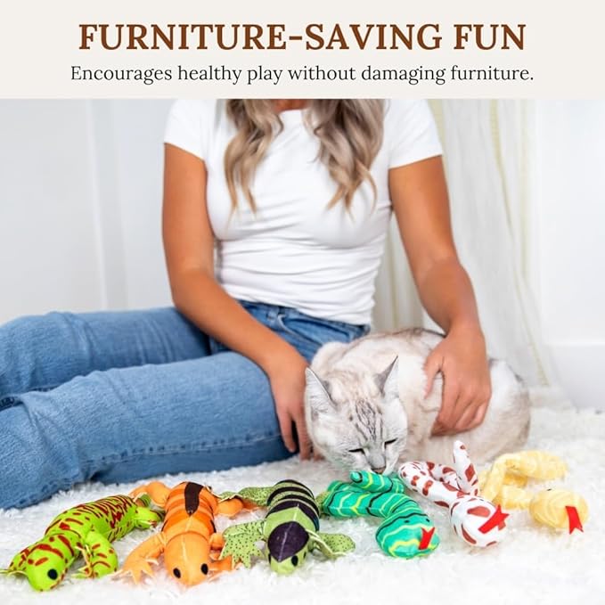 Cat Toy Snake Lizard Catnip Toys Chew Bite Resistant Toys for Indoor Cats Boredom Relief Teeth Cleaning Interactive Funny Cute Kitten Cat Lover Gifts Set of 6 Realistic Hunt Prey Activity Games