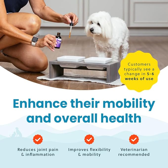 Liquid Glucosamine for Small Dogs, 260mg Glucosamine Liquid for Dogs Joint Supplement for Mobility & Comfort, Easy-to-Use Liquid MSM & Chondroitin, 2 oz