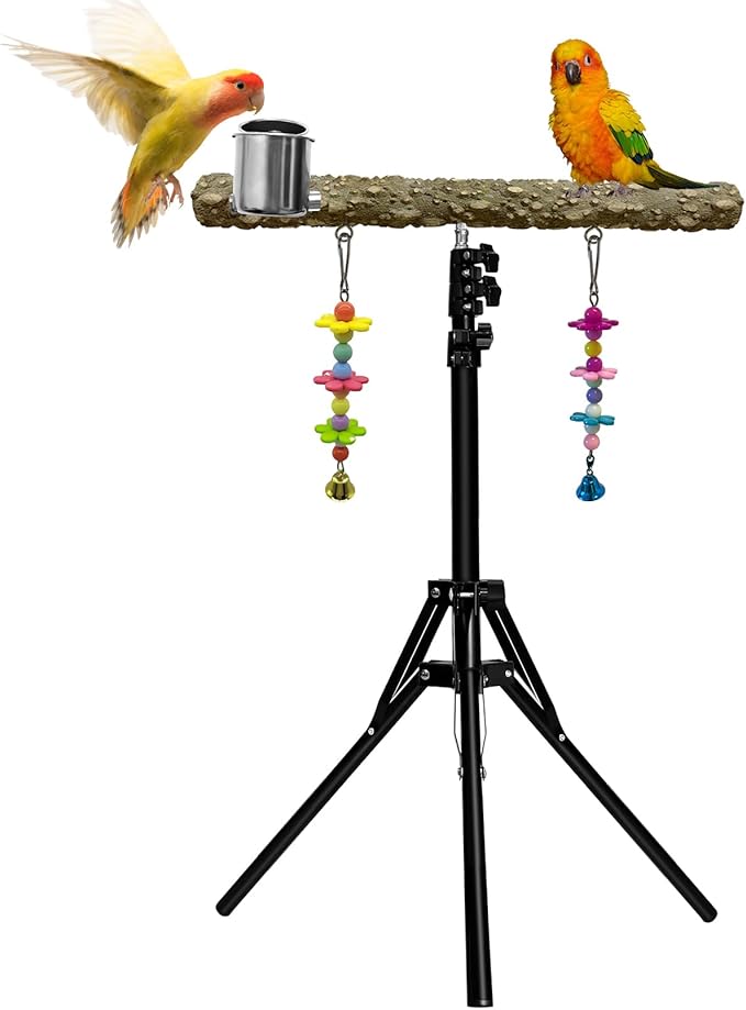 16-63 Inch Height Adjustable Bird Perch Pepper Wood Parrot Training Perch Stand with Feeding Cups and Swing Toy Parakeet Perches Indoor and Outdoor Parrot Stands for Small to Medium Bird