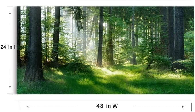 Morning Sunlight Forest Large Stretched Canvas Wall Art for Living Room Bedroom Home,Mordern Woods Scenery Picture Print Painting Decor Artwork,Green Landscape Gallery Wrapped Gift,Inner Frame(24x48)