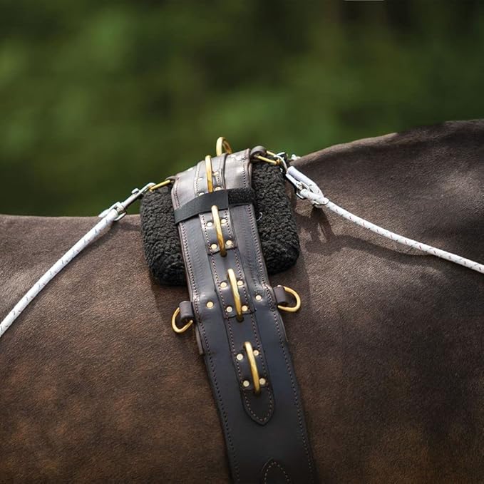 Advanced European Training System | Advanced Training Tool | Enhances Horse Carriage and Headset | Encourages Forward Movement | Strengthens Key Muscles | Not for Beginners