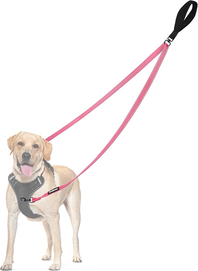 PetBonus Two Point Control Dog Leash, Works with No Pull Harnesses, No Tangle Training Leashes, Soft Padded and Reflective Walking Lead, Converts to Single Lead for Medium Large Dogs (Pink)