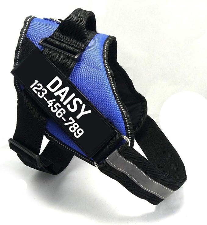 PawPawify Custom No Pull Dog Harness with Name and Phone Number, Heavy Duty Personalized Pet Vest to Prevent Tugging, Pulling, or Choking, Training and Walking (Blue, L (40-60 LBS))