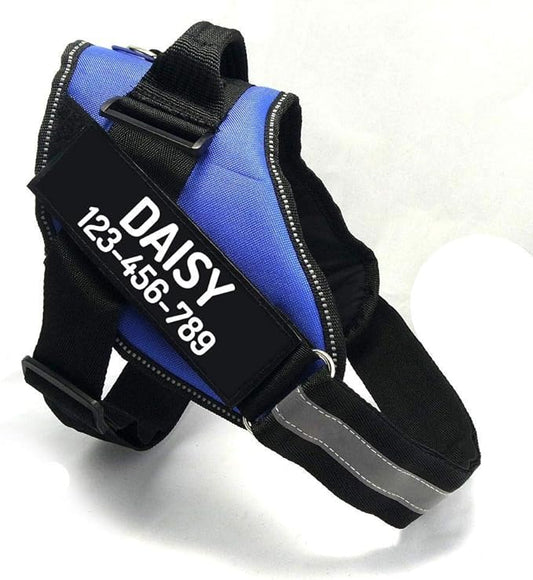 PawPawify Custom No Pull Dog Harness with Name and Phone Number, Heavy Duty Personalized Pet Vest to Prevent Tugging, Pulling, or Choking, Training and Walking (Blue, XL (60-85 LBS))