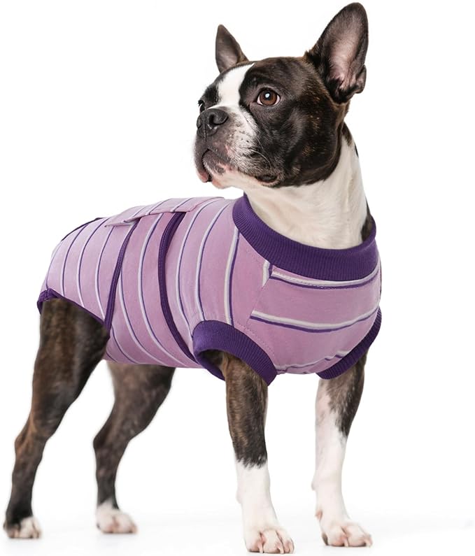 Kuoser Dog Surgery Recovery Suit for Female Male Dogs, Stripes Spay Neuter Anti-Licking Dog Onesie, Abdominal Wounds Surgical Suit Snugly Pet Collar Alternative Post Surgery Vest Bodysuit, Purple M