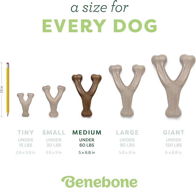 Benebone Medium 3-Pack, Wishbone Durable Dog Chew Toy for Aggressive Chewers, Real Bacon, Chicken, Peanut Butter, Made in USA, Variety Pack