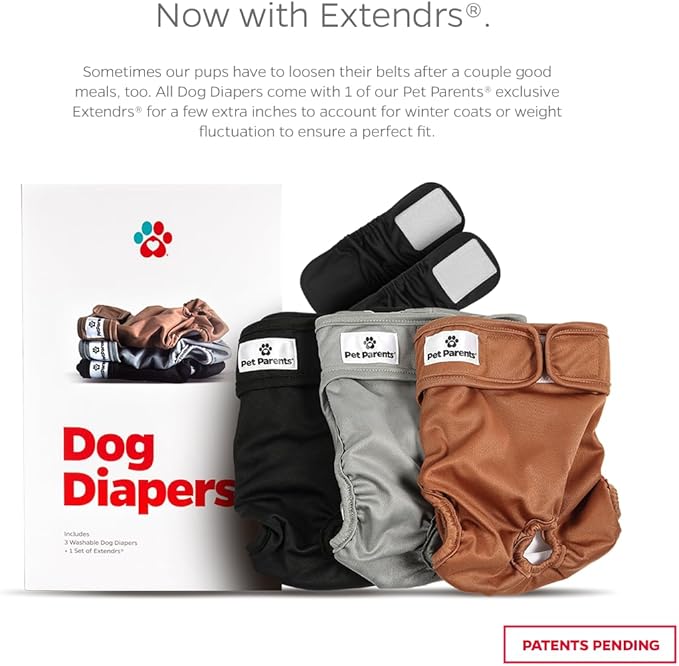 Pet Parents® Washable Dog Diapers (3pack) + Extendrs® of Durable Doggie Diapers, Premium Dog Diapers Female (X-Small, Natural)
