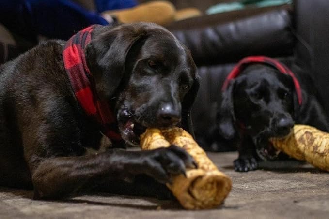 Redbarn Pet Products All-Natural Large Beef Cheek Rolls for Dogs, Chicken & Carrot Glazed - Single Ingredient Grain-Free Chew Treat Naturally Rich in Collagen - Packaging May Vary, Pack of 4