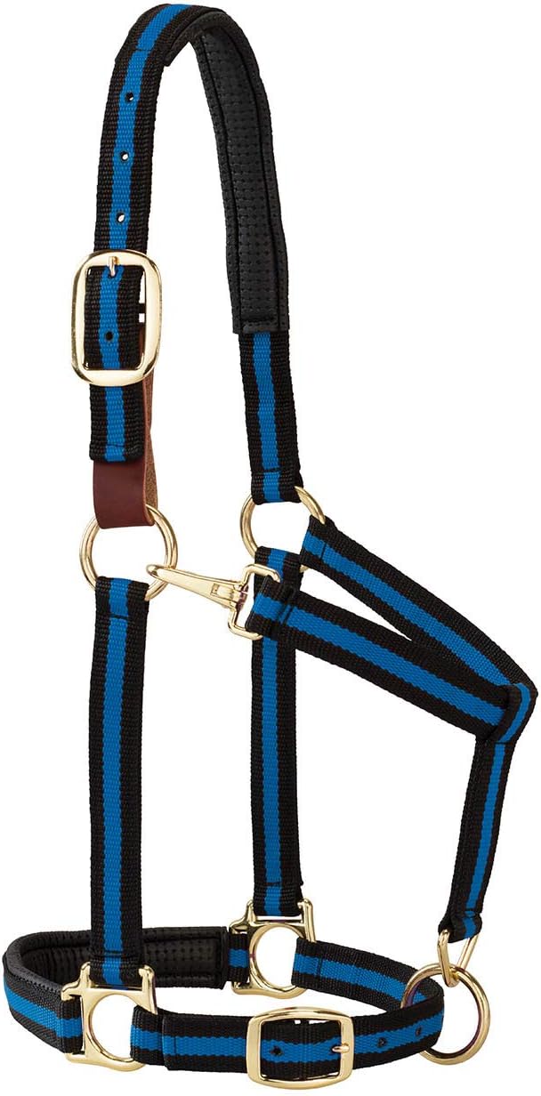 Weaver Equine Breakaway Horse Halter, Comfort Foam Padding, Adjustable Chin & Throat Snap Halters for Horses, Equine Tack,Average Size, Blue