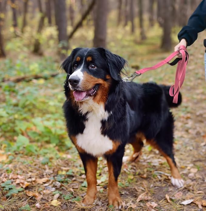 TwoEar 4FT 1IN Strong Pink Dog Leash with 2 Padded Handles, Traffic Handle Extra Control, Comfortable Soft Dual Handle, Auto Lock Hook, Reflective Walking Lead for Small Medium and Large Dogs