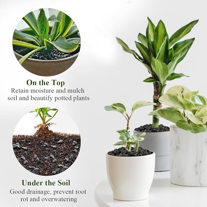 10 lbs Black Lava Rocks for Fire Pits,5-8 MM Crush Volcanic Rock Pumice Soil Additive for Succulent Plants Aquarium Cactus Bonsai and Garden Landscaping