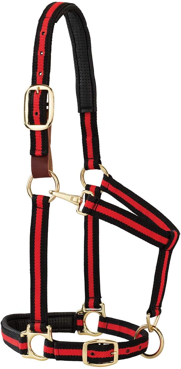 Weaver Equine Breakaway Horse Halter, Comfort Foam Padding, Adjustable Chin & Throat Snap Halters for Horses, Equine Tack,Average Size, Red