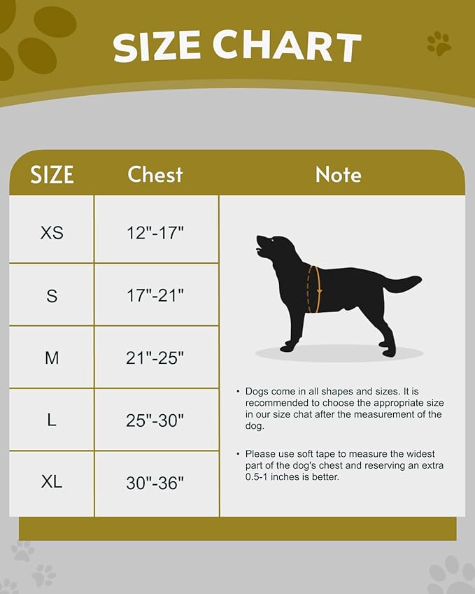 MIDOG No-Pull Dog Harness | Adjustable & Reflective Pet Harness Leash Set for Small Medium Large Dogs Walking, Training| No Choke, Front Clip, Soft Padded Vest with Easy Control Handle - Purple, XL