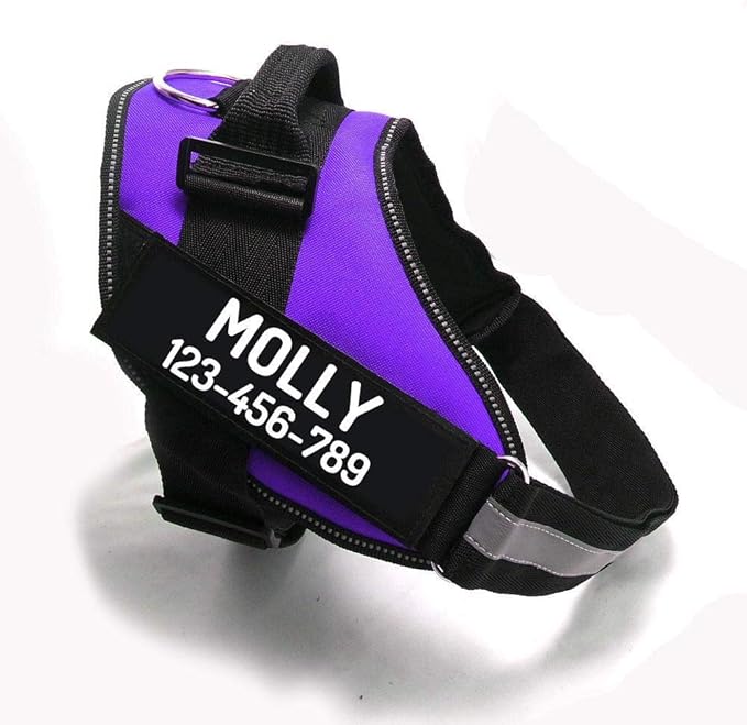 PawPawify Custom No Pull Dog Harness with Name and Phone Number, Heavy Duty Personalized Pet Vest to Prevent Tugging, Pulling, or Choking, Training and Walking (Purple, XXL (85-140 LBS))