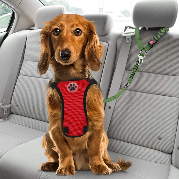 SlowTon Dog Seat Belt for Car, 2 Pack Dog Car Harness Seatbelt Adjustable with Elastic Bungee Buffer, 2 in 1 Pet Car Leash Headrest Restraint Dog Reflective Safety Tether (Green, Headrest+Clip)
