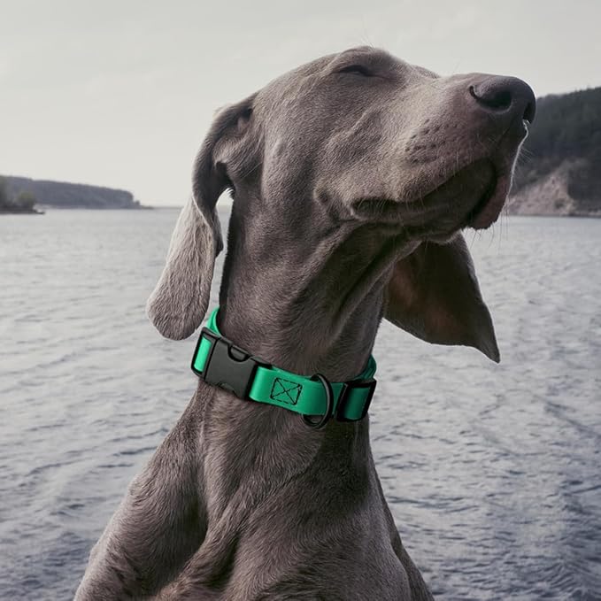 Dogline Biothane Waterproof Dog Collar with Quick Release Buckle Strong Coated Nylon Webbing with Odor- Proof for Easy Care Easy to Clean Fits Small Medium Large Dogs, Teal 5/8" W 9-14" L