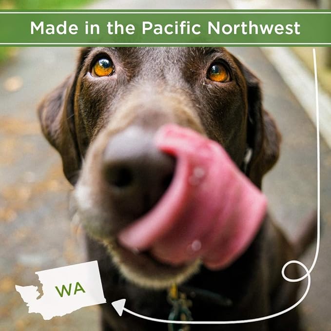 Peanut Butter & Carob Chips Dog Treats – Healthy, Crunchy, Vegan Biscuits with Whole & Real Ingredients – All Natural & USA‐Baked, 4 Pound Bag