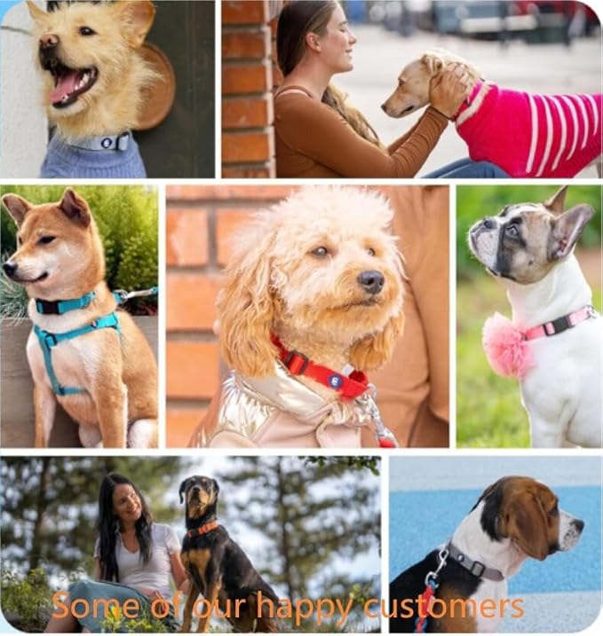 Blueberry Pet Essentials Medium Dog Collar in True Navy | Adjustable & Eco-Friendly Durable Nylon Strap | Classic Collar for Medium Dogs, Boy & Girl Pets