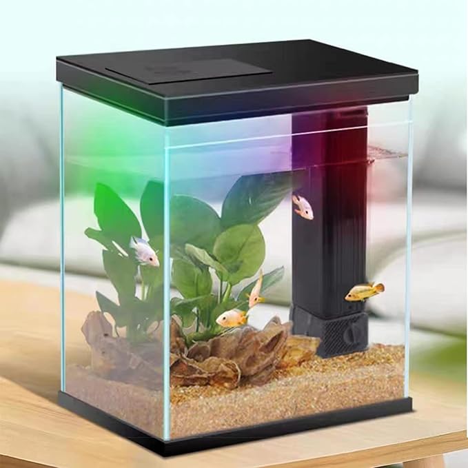 Glass Betta Aquarium Starter Kits, 2 Gallon Fish Tank with Heater Filter and Light.