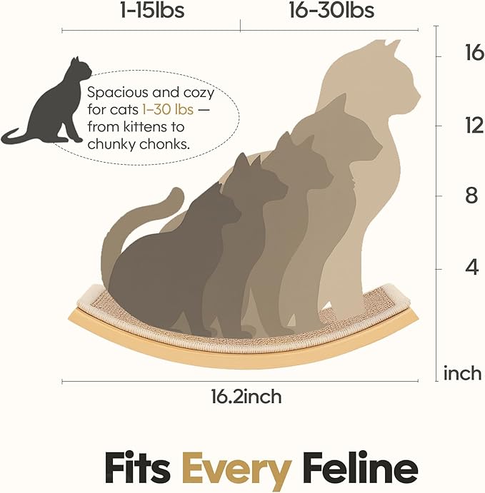 Cat Window Perches, Curved Cat Wall Sisal Mat Bed and 2 Floating Wall Steps, Wall Mounted Climbing Shelves for Sleeping, Playing, and Lounging