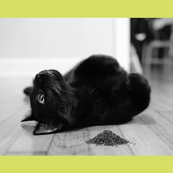 Catnip, All Natural Premium Catnip (8 oz Thick Cut)