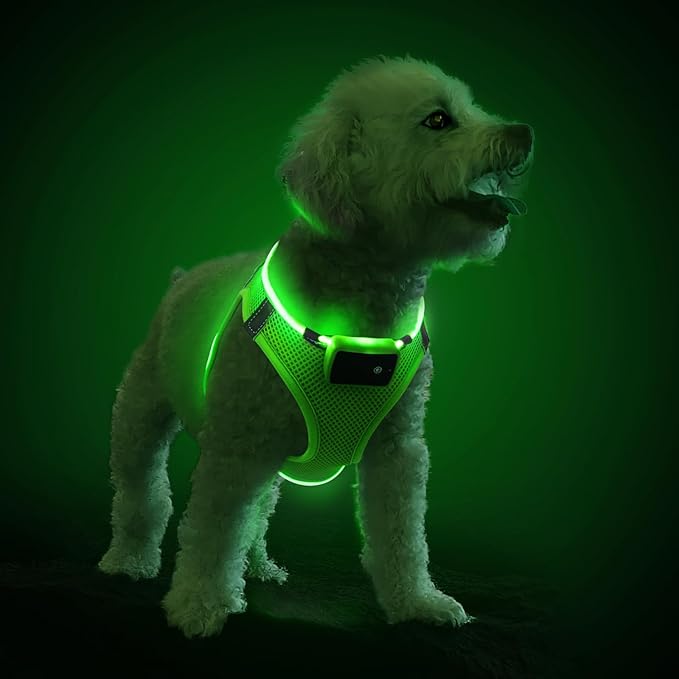 PCeoTllar Light Up Dog Harness - LED, No Pull Reflective, Flashing Night Walking (Green XS)