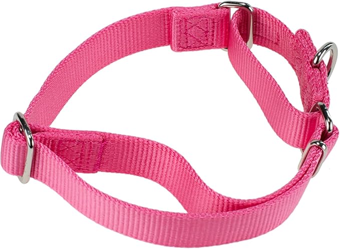 Hyhug Improved Design Nylon Webbing, Cold Water Washing Does Not Fade, Not Polluting Dog Hair, Wear Resistant and Not Prone to Fuzzing. No Slip Training Martingale Collar (Candy Pink, Medium)