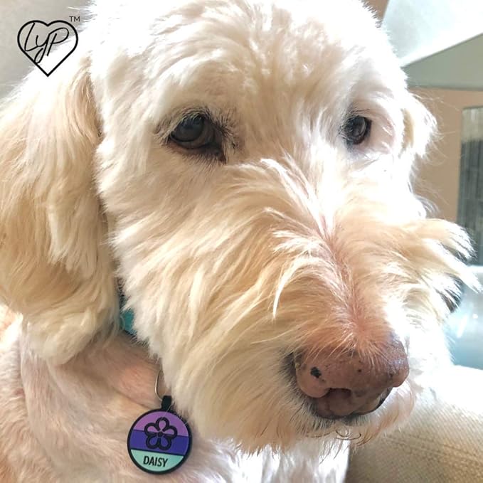 LYP - Our Original Soundless Pet ID Tag - Largest Line of Silicone Dog Tags - No More Jingling Dog Tags -Durable - Never Fades - Customized Deep Engraved Silicone (Flower - Purple)