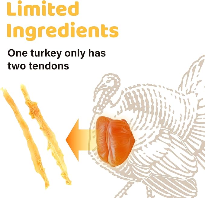 iPaw Turkey Tendons for Dogs, 100% Turkey and US Sourced Raw Material, Hypoallergenic, All Natural Human Grade Puppy Chew, Rawhide Alternative Dog Treats, 10 Unit/Box Bone (Large)
